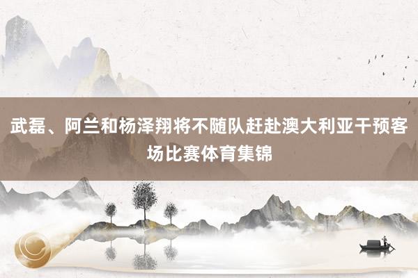 武磊、阿兰和杨泽翔将不随队赶赴澳大利亚干预客场比赛体育集锦