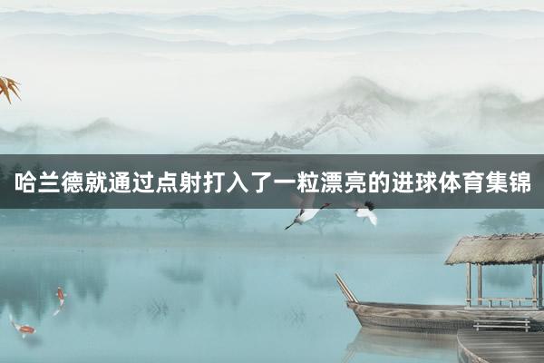 哈兰德就通过点射打入了一粒漂亮的进球体育集锦
