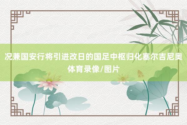 况兼国安行将引进改日的国足中枢归化塞尔吉尼奥体育录像/图片