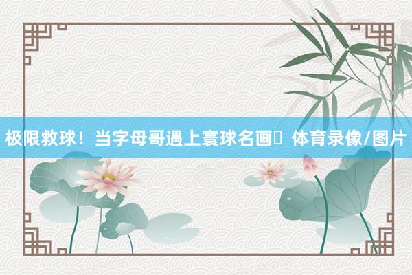 极限救球！当字母哥遇上寰球名画️体育录像/图片