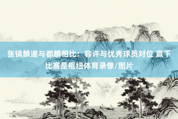 张镇麟道与都麟相比：容许与优秀球员对位 赢下比赛是枢纽体育录像/图片