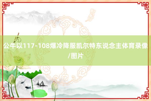公牛以117-108爆冷降服凯尔特东说念主体育录像/图片