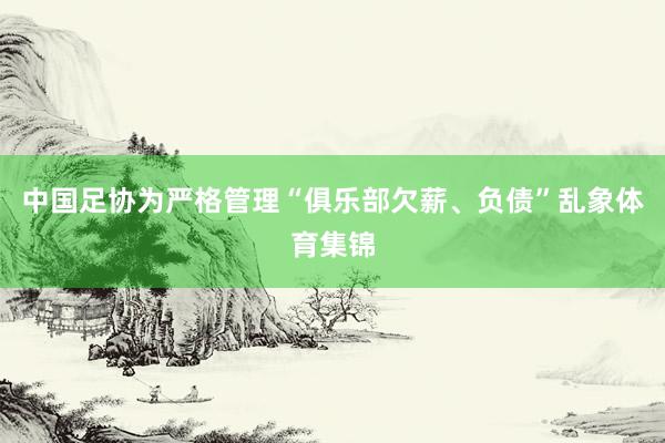 中国足协为严格管理“俱乐部欠薪、负债”乱象体育集锦
