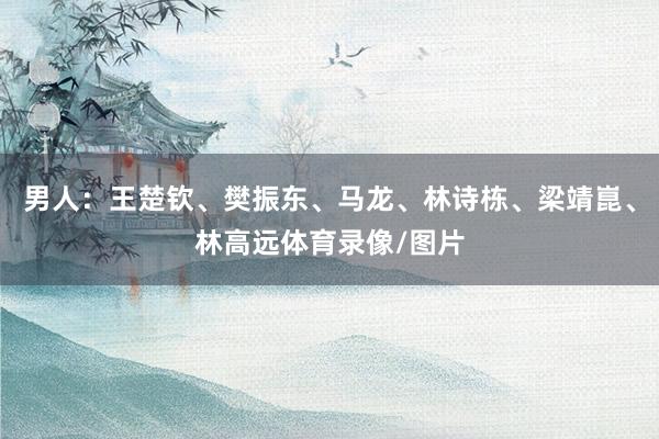 男人：王楚钦、樊振东、马龙、林诗栋、梁靖崑、林高远体育录像/图片