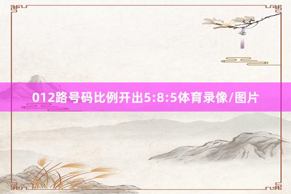 012路号码比例开出5:8:5体育录像/图片