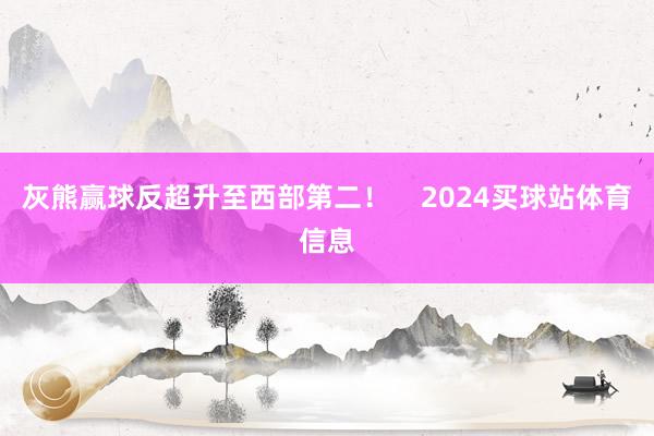灰熊赢球反超升至西部第二！    2024买球站体育信息