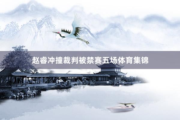 赵睿冲撞裁判被禁赛五场体育集锦