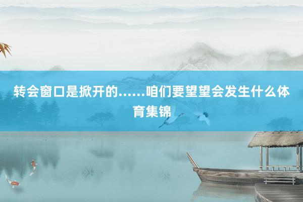 转会窗口是掀开的......咱们要望望会发生什么体育集锦