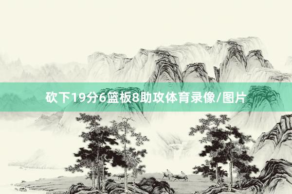 砍下19分6篮板8助攻体育录像/图片