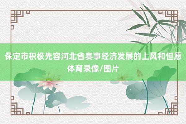 保定市积极先容河北省赛事经济发展的上风和但愿体育录像/图片