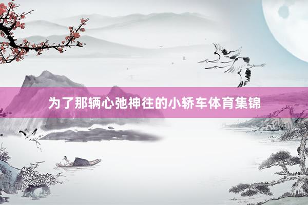 为了那辆心弛神往的小轿车体育集锦