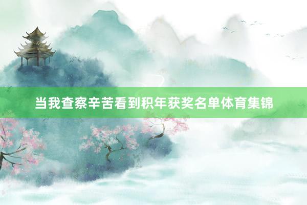 当我查察辛苦看到积年获奖名单体育集锦