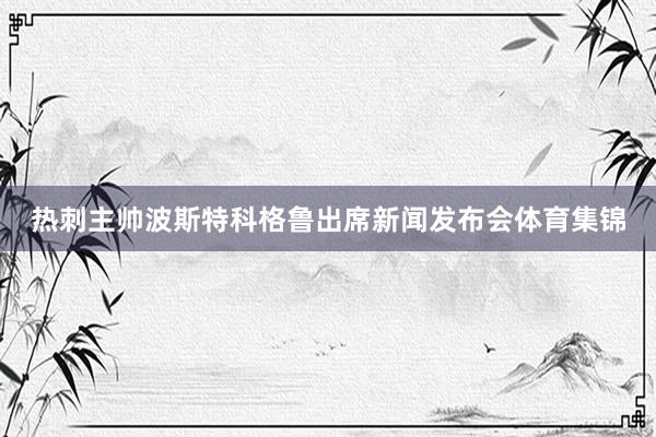 热刺主帅波斯特科格鲁出席新闻发布会体育集锦