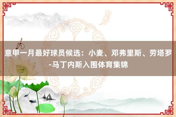 意甲一月最好球员候选：小麦、邓弗里斯、劳塔罗-马丁内斯入围体育集锦