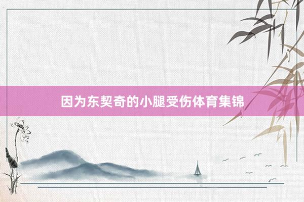 因为东契奇的小腿受伤体育集锦