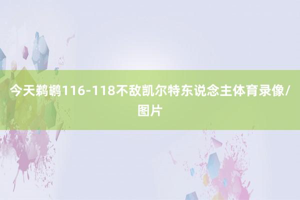 今天鹈鹕116-118不敌凯尔特东说念主体育录像/图片