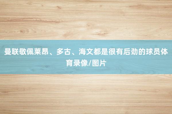 曼联敬佩莱昂、多古、海文都是很有后劲的球员体育录像/图片