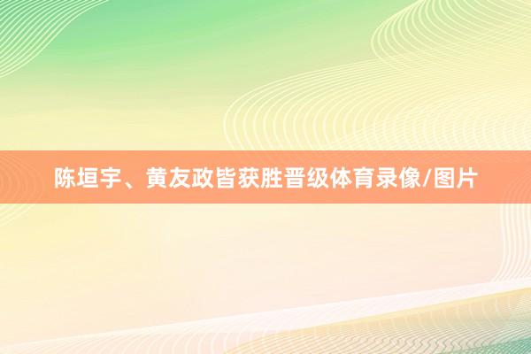 陈垣宇、黄友政皆获胜晋级体育录像/图片