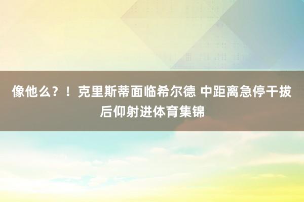 像他么？！克里斯蒂面临希尔德 中距离急停干拔后仰射进体育集锦