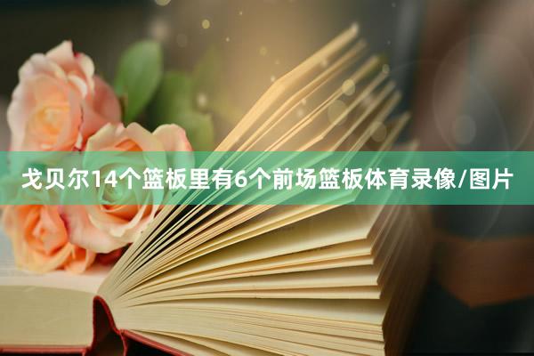戈贝尔14个篮板里有6个前场篮板体育录像/图片