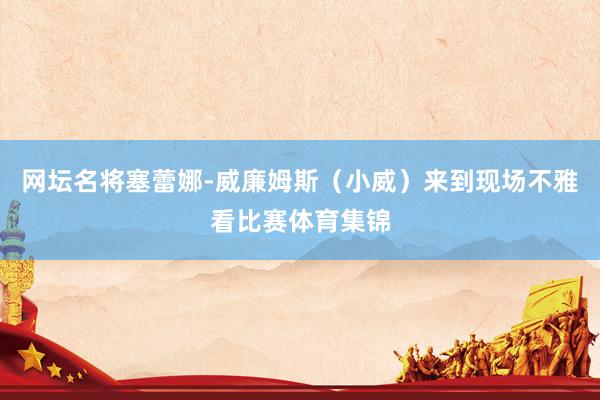 网坛名将塞蕾娜-威廉姆斯（小威）来到现场不雅看比赛体育集锦
