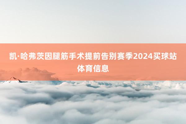 凯·哈弗茨因腿筋手术提前告别赛季2024买球站体育信息