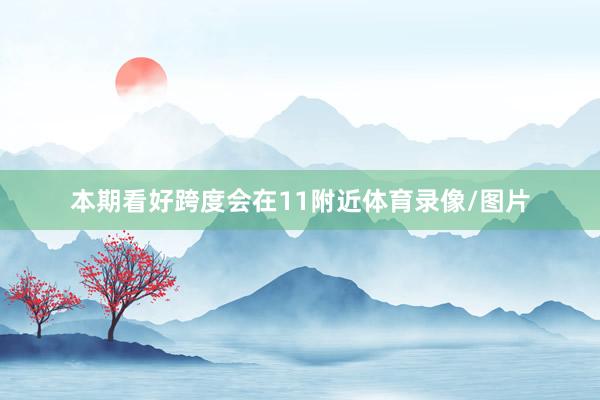 本期看好跨度会在11附近体育录像/图片