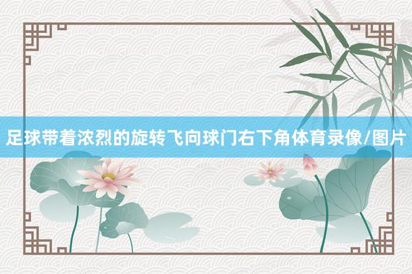 足球带着浓烈的旋转飞向球门右下角体育录像/图片
