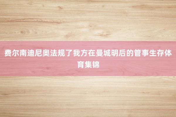 费尔南迪尼奥法规了我方在曼城明后的管事生存体育集锦