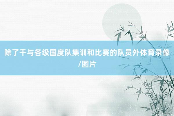 除了干与各级国度队集训和比赛的队员外体育录像/图片