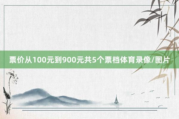 票价从100元到900元共5个票档体育录像/图片