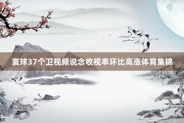 寰球37个卫视频说念收视率环比高涨体育集锦