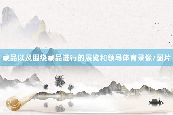 藏品以及围绕藏品进行的展览和领导体育录像/图片