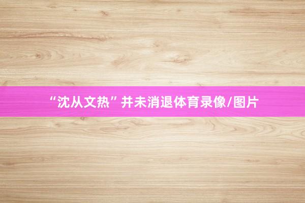 “沈从文热”并未消退体育录像/图片