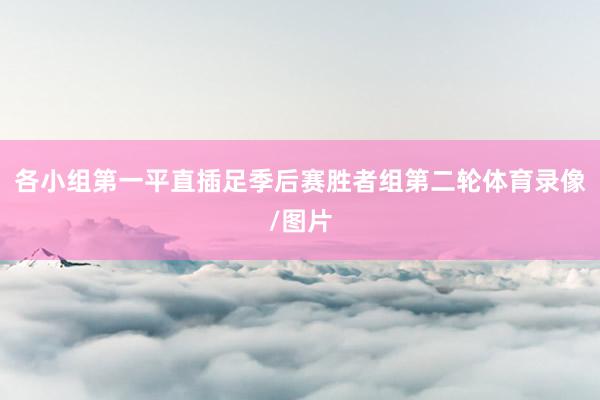 各小组第一平直插足季后赛胜者组第二轮体育录像/图片