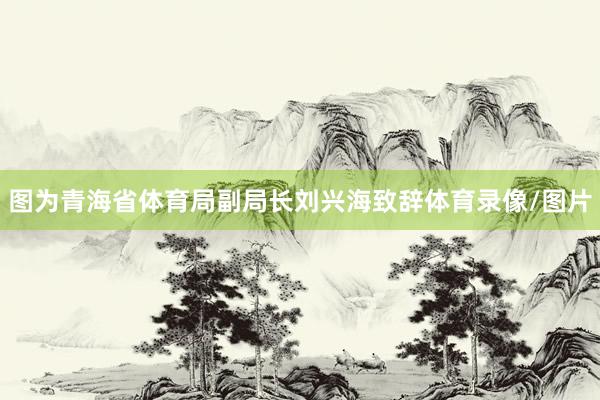 图为青海省体育局副局长刘兴海致辞体育录像/图片