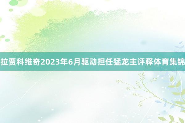 拉贾科维奇2023年6月驱动担任猛龙主评释体育集锦
