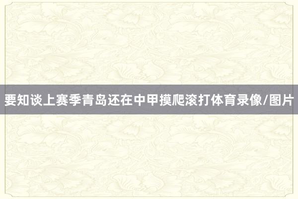 要知谈上赛季青岛还在中甲摸爬滚打体育录像/图片