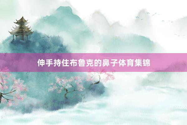 伸手持住布鲁克的鼻子体育集锦