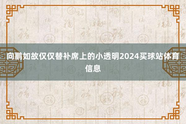 向鹏如故仅仅替补席上的小透明2024买球站体育信息