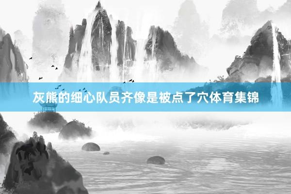 灰熊的细心队员齐像是被点了穴体育集锦