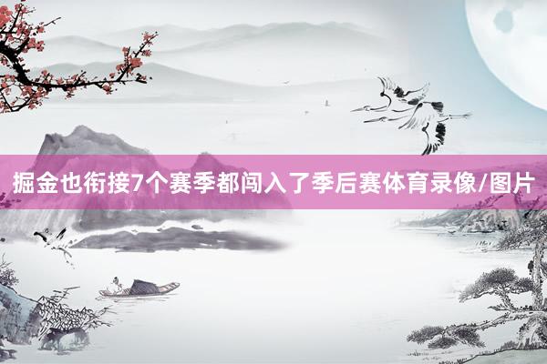 掘金也衔接7个赛季都闯入了季后赛体育录像/图片