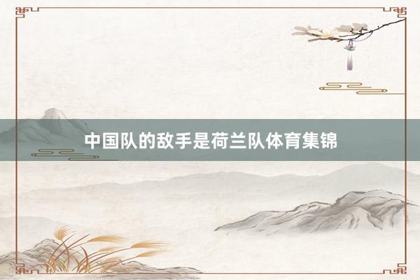 中国队的敌手是荷兰队体育集锦