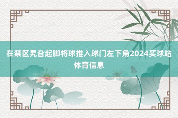 在禁区旯旮起脚将球推入球门左下角2024买球站体育信息