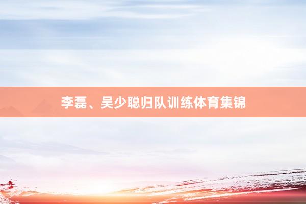李磊、吴少聪归队训练体育集锦