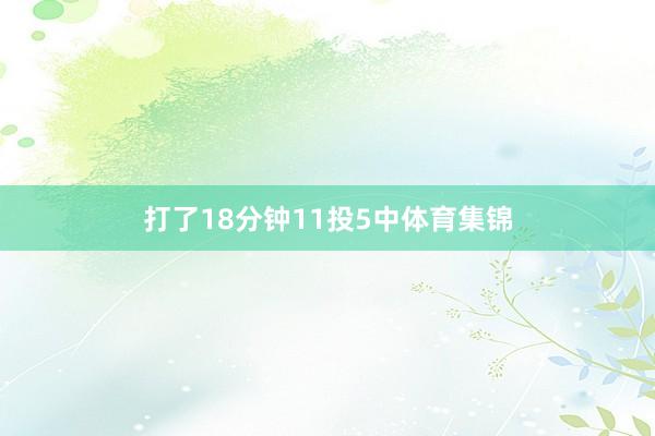 打了18分钟11投5中体育集锦
