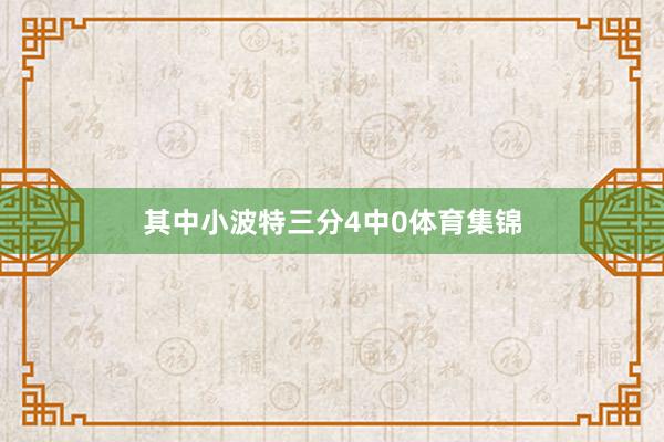 其中小波特三分4中0体育集锦
