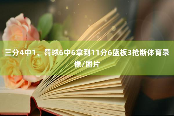三分4中1、罚球6中6拿到11分6篮板3抢断体育录像/图片
