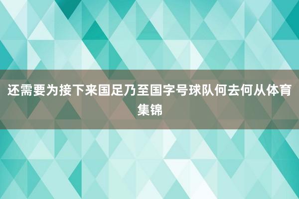 还需要为接下来国足乃至国字号球队何去何从体育集锦