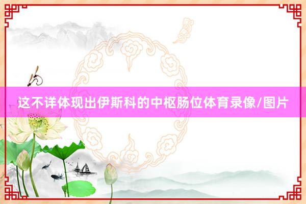 这不详体现出伊斯科的中枢肠位体育录像/图片